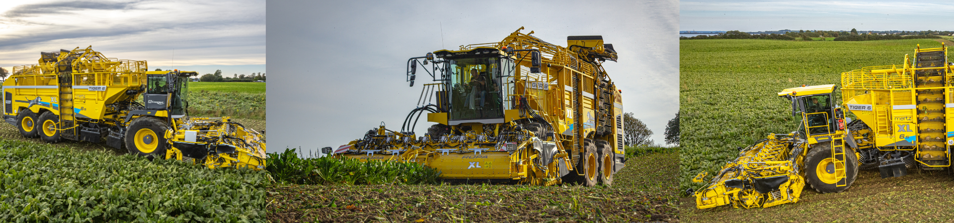 Danmarks største ROPA roeoptager i aktion 